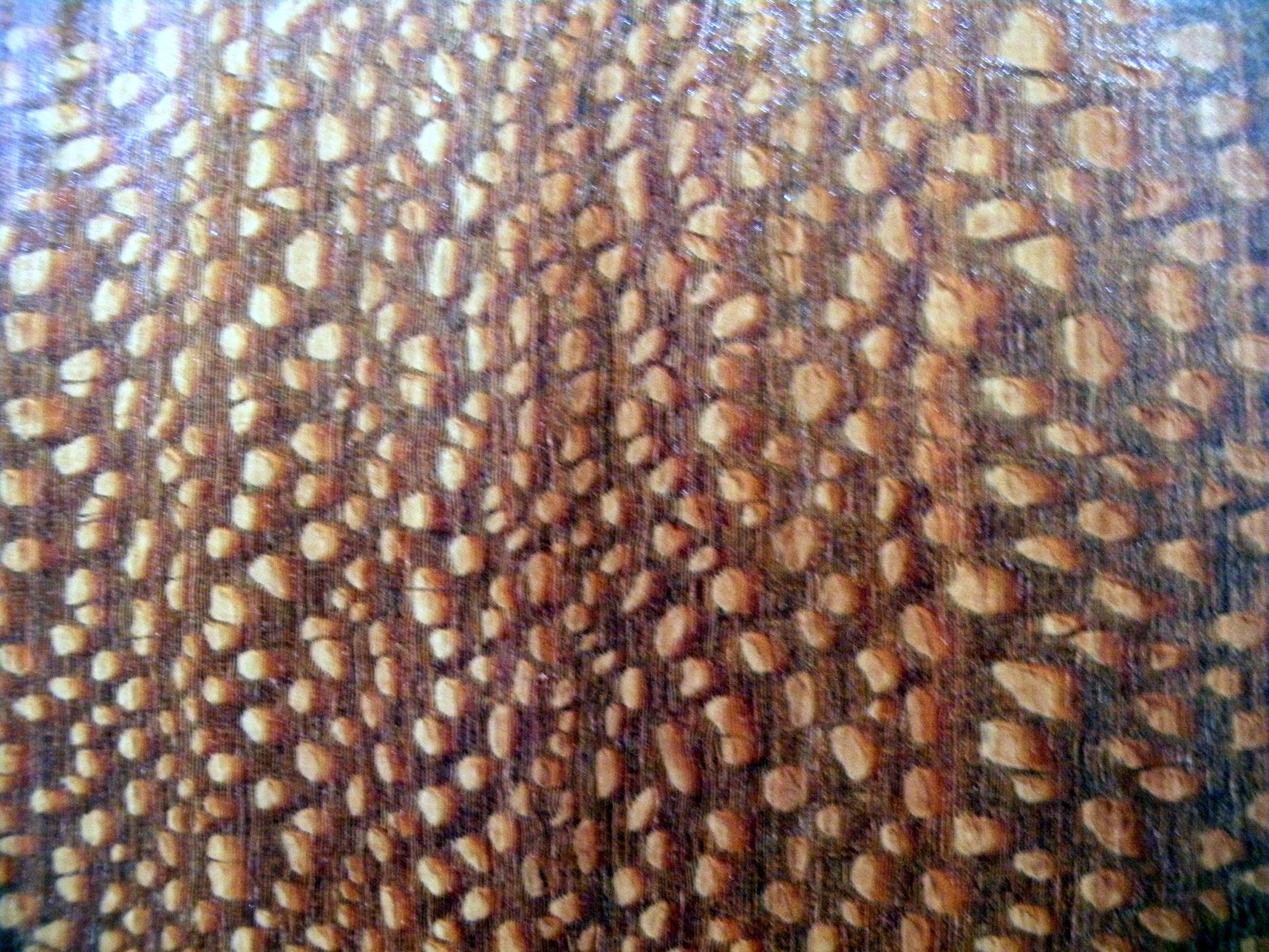 Leopardwood block